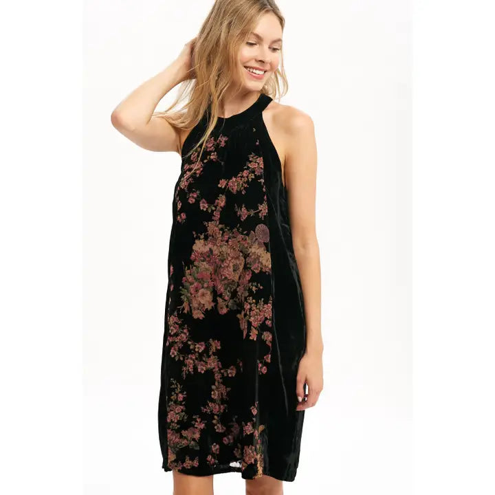 Mystree Black Velvet Dress