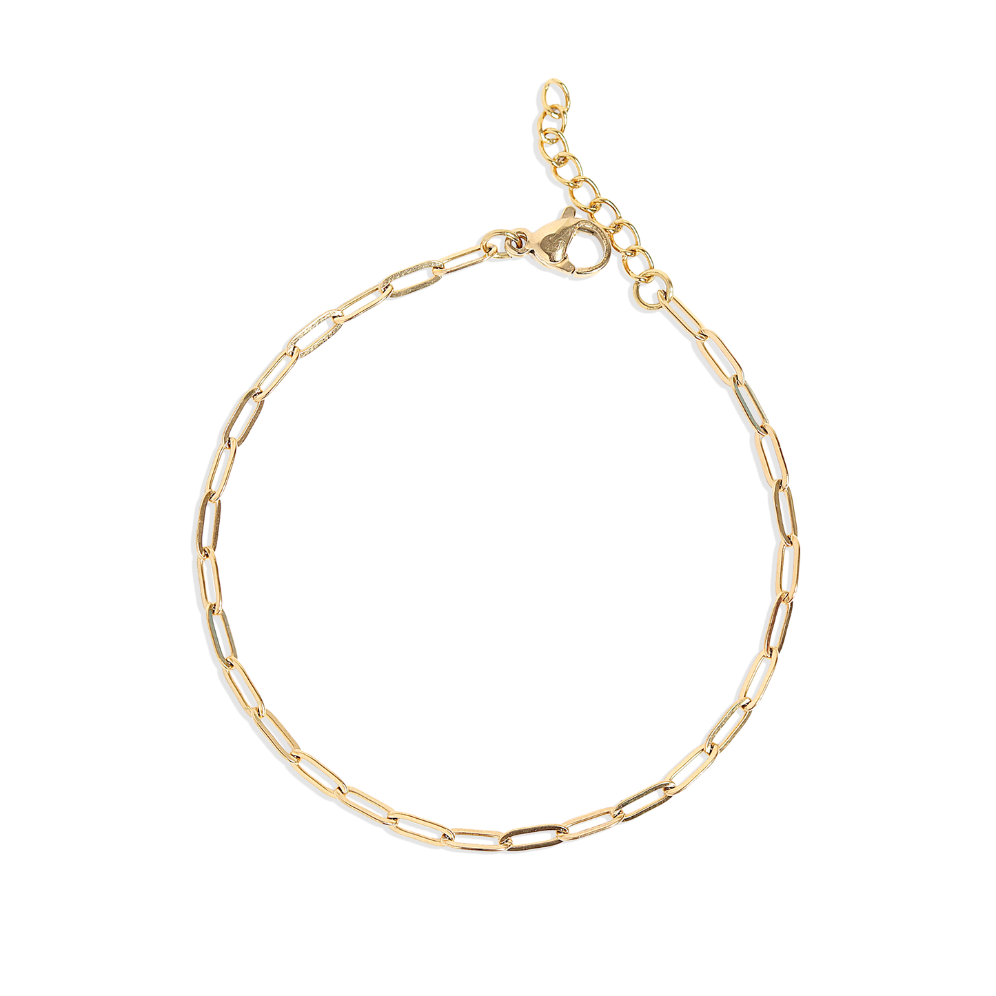 WJW 18K Gold Stainless Steel Paperclip Chain Bracelet + Extension