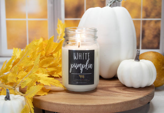 13 oz Mason Jar Fall Candle: White Pumpkin